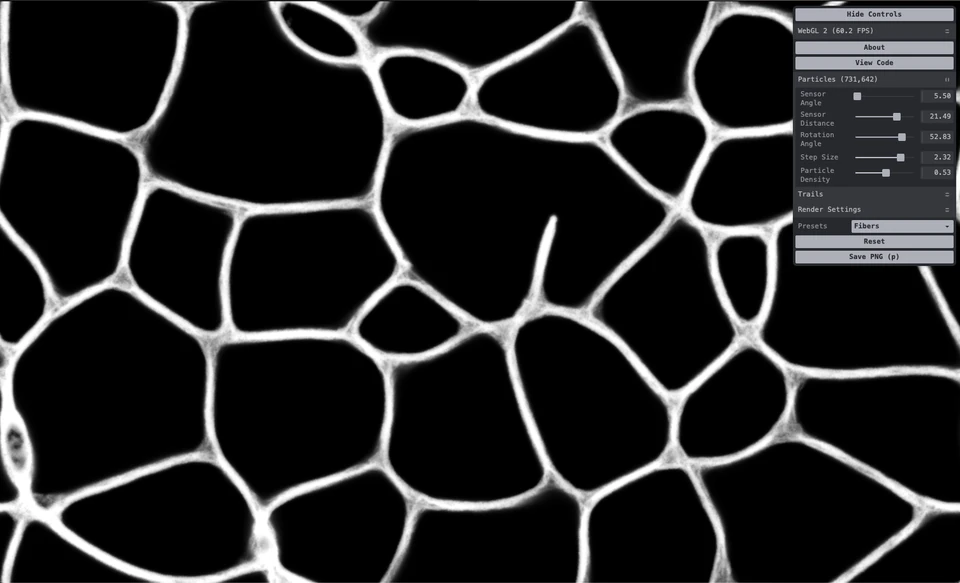 Black-and-white irregular cellular pattern with a small parameter panel at right