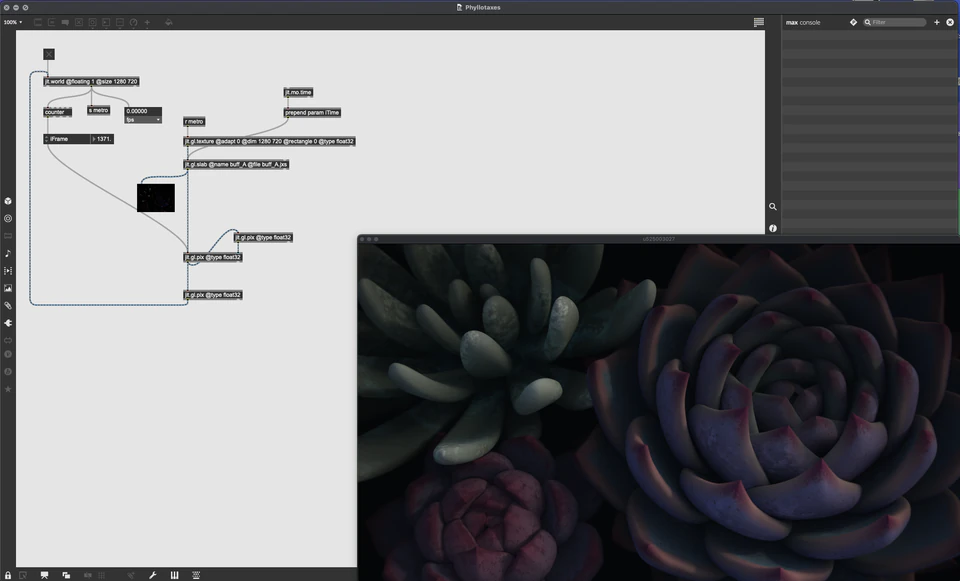 Max/MSP/Jitter patcher beside dark layered succulent-like forms in blue and purple light